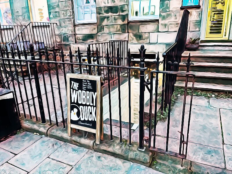 The Wobbly Duck - Newcastle